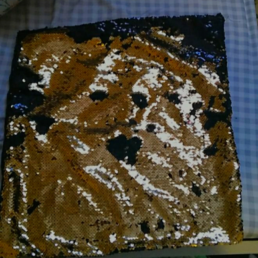 Sequin pillow case